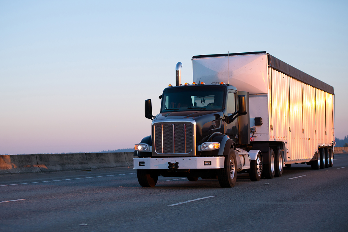 Why Should You Look For Freight Transport Services?