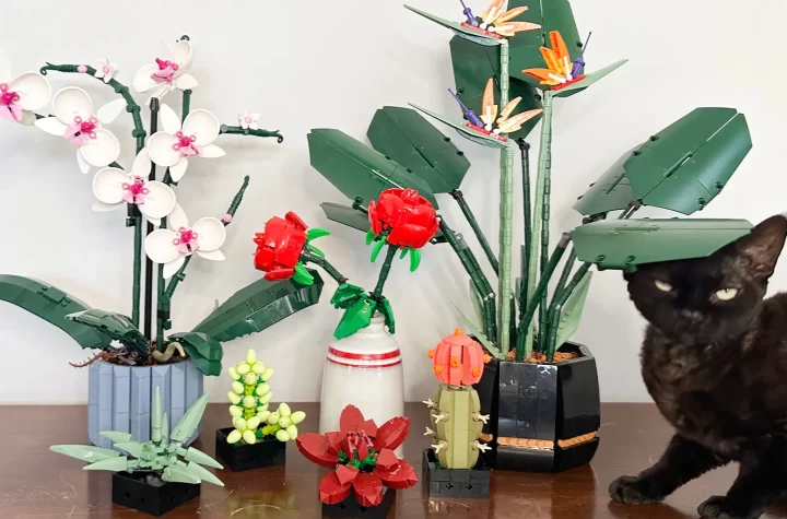 Discover the Beauty of LEGO Flowers: A Complete Guide to the Botanical Collection